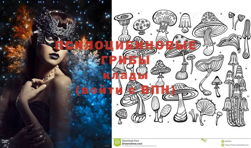 Галлюциногенные грибы MAGIC MUSHROOMS  omg ссылки  Сортавала 